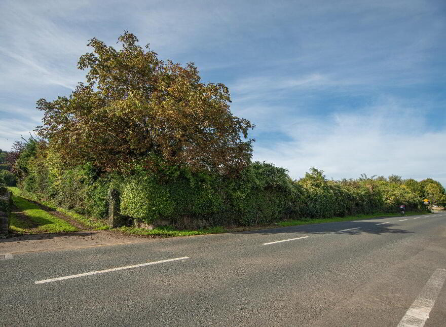 C.10.82 Acres, Carrickbeg, Carrickbeg, E32N286