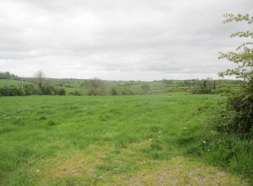 Briscarnagh, Scotshouse