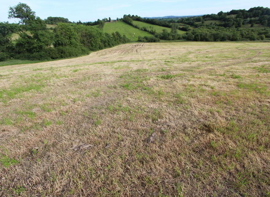 Briscarnagh, Scotshouse