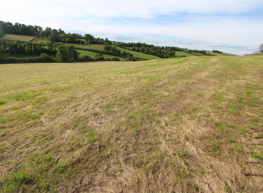 Briscarnagh, Scotshouse