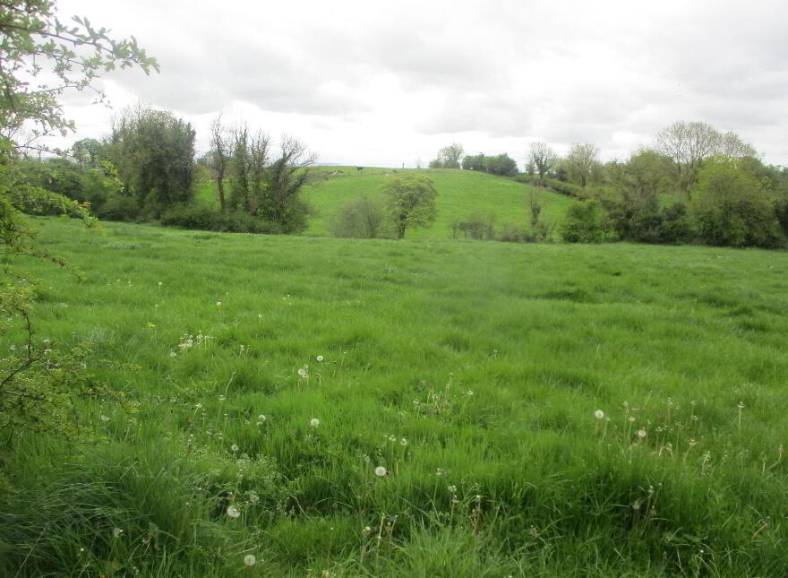 Briscarnagh, Scotshouse