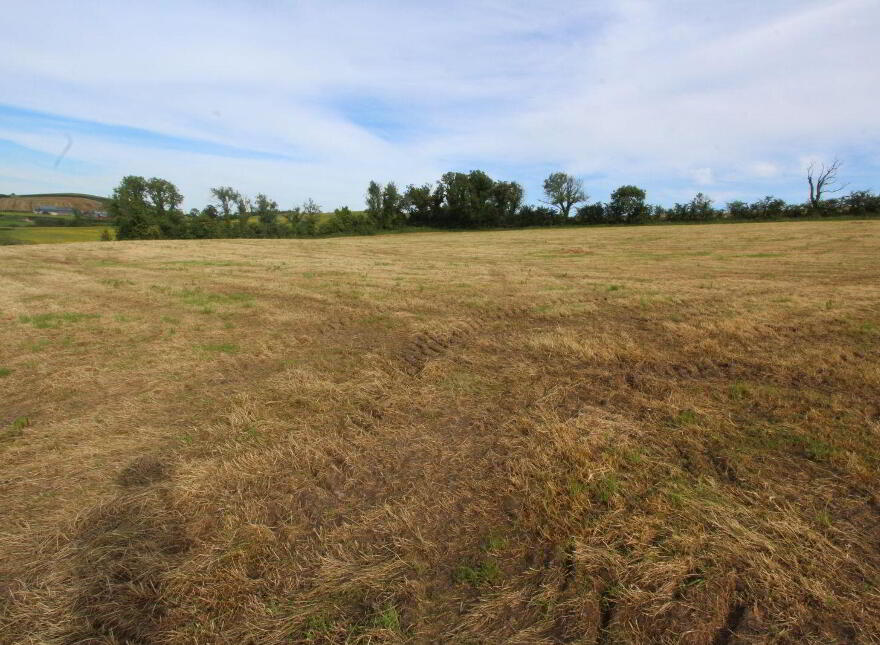Briscarnagh, Scotshouse