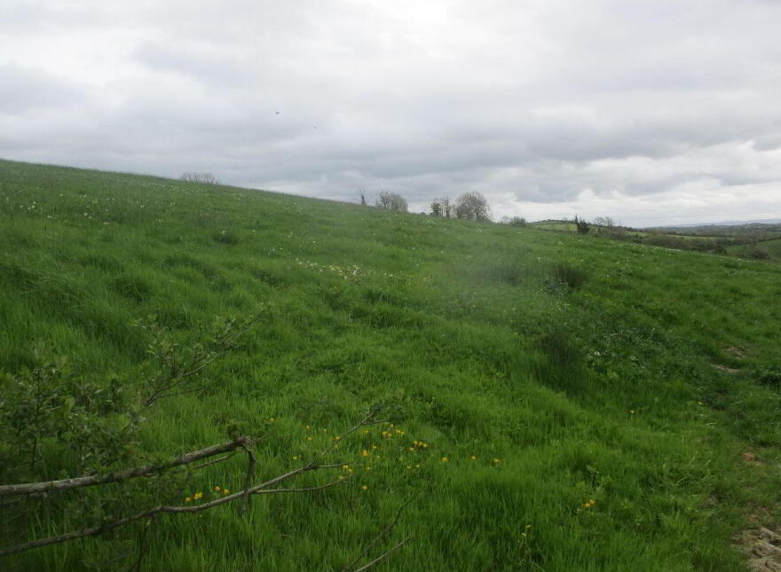 Briscarnagh, Scotshouse