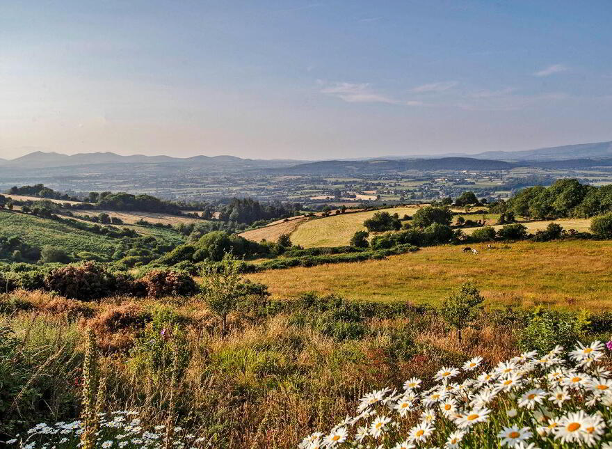 Robin Hill, Ballyguiry, Dungarvan, X35X009