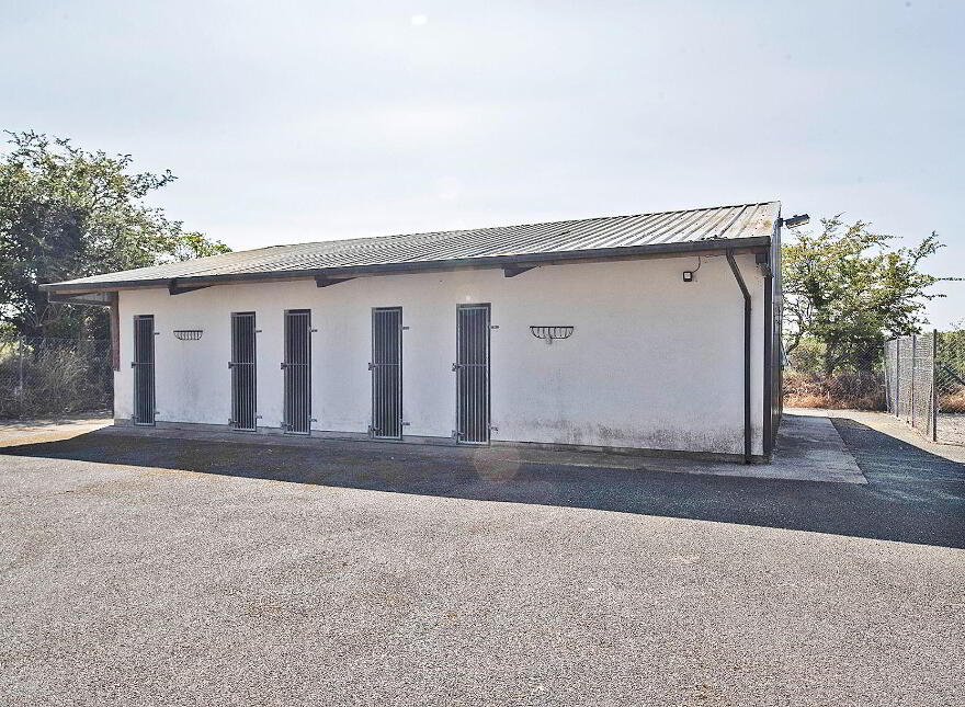 Langanoran, Ballinamult, Dungarvan, E91V274