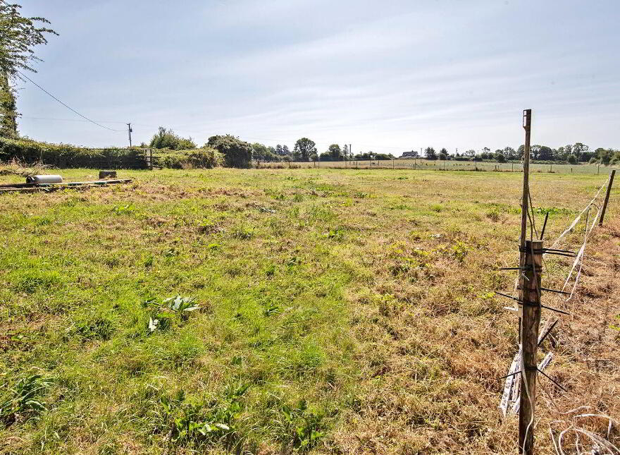 Langanoran, Ballinamult, Dungarvan, E91V274
