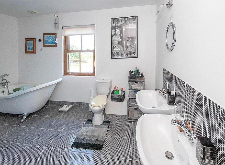 Langanoran, Ballinamult, Dungarvan, E91V274