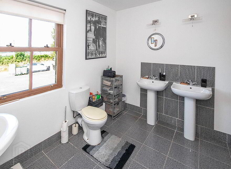 Langanoran, Ballinamult, Dungarvan, E91V274