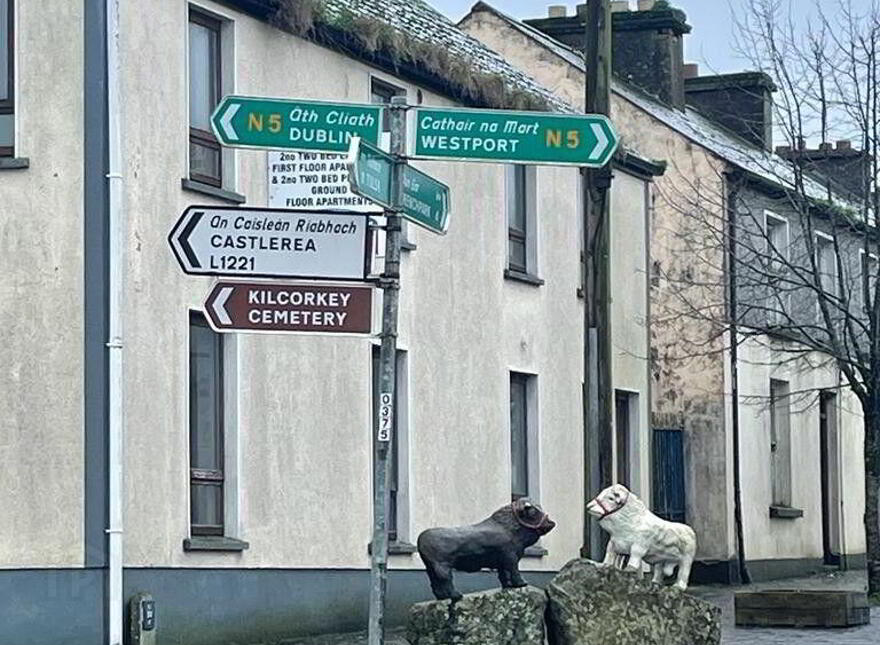 Ballinagare, Castlerea, F45VW99