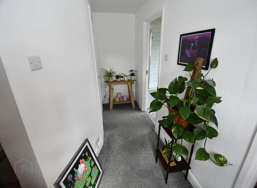 27 Harrogate Street, Falls Road, Belfast, BT12 7AT