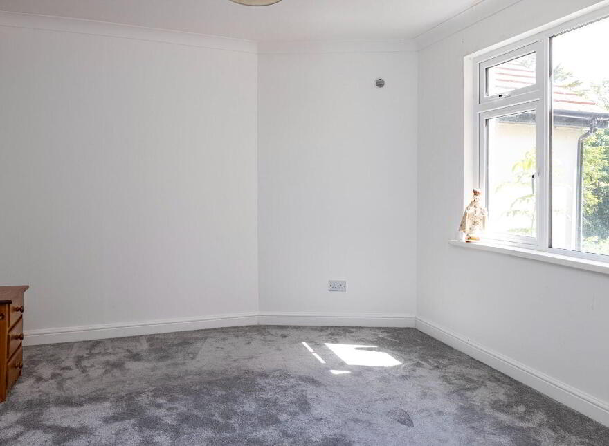 Bellrace, 21 Dublin Road, Swords, K67H6D9