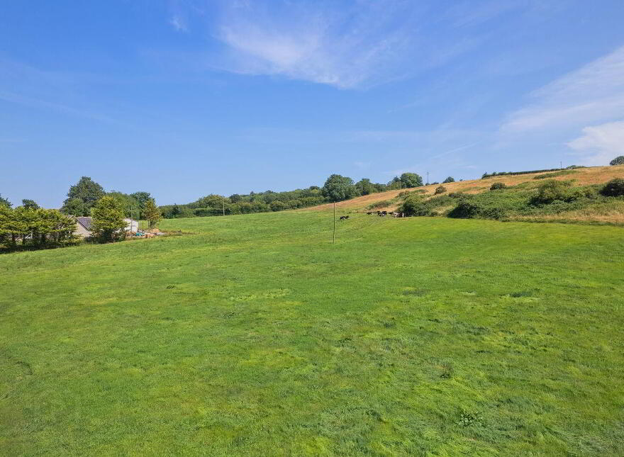Knocknagapple, Conna