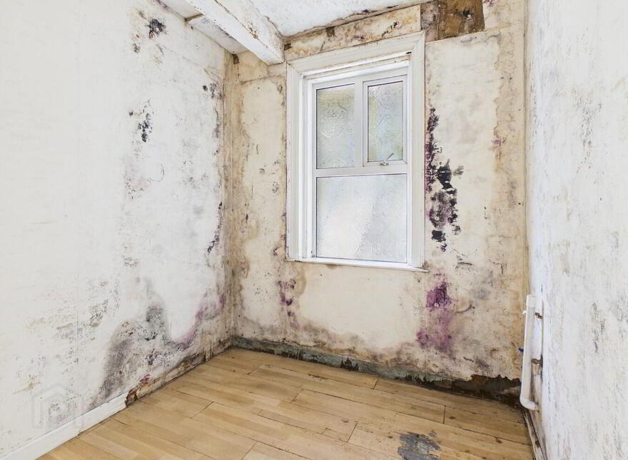 14B Queen Street, Tramore, X91E2FA