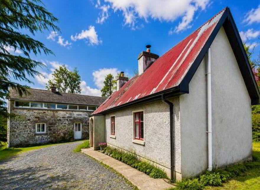 Aughacashel, Dereen, Ballinamore, N41R596 photo