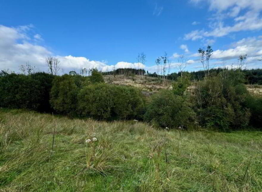 Aughacashel, Dereen, Ballinamore, N41R596