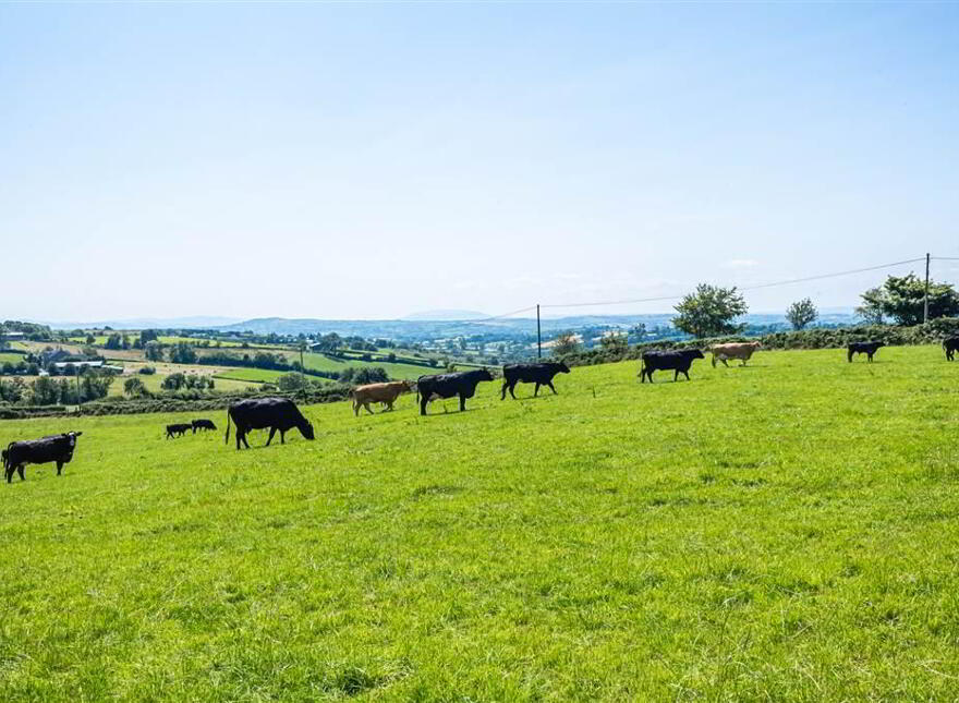 Blakely House, 63 Garvaghy Church Road, Dromara, BT25 2HA