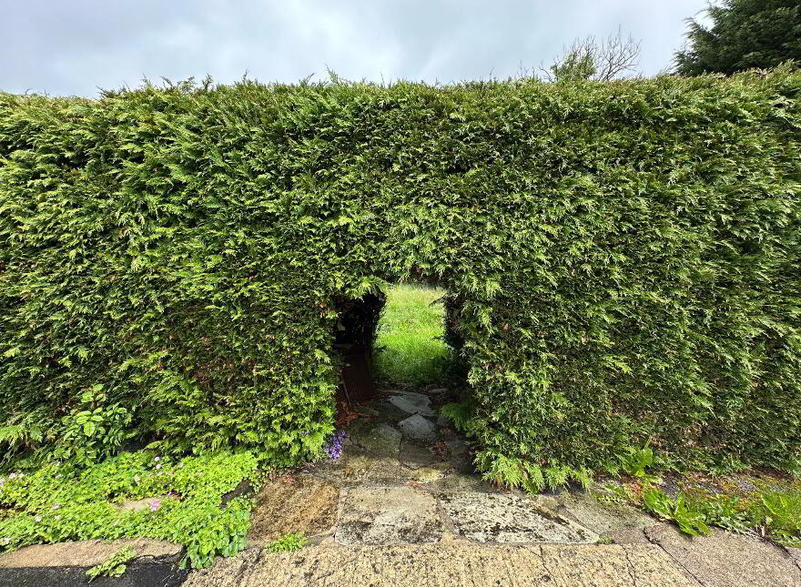 Clonkeencole, Clones, H23CF62