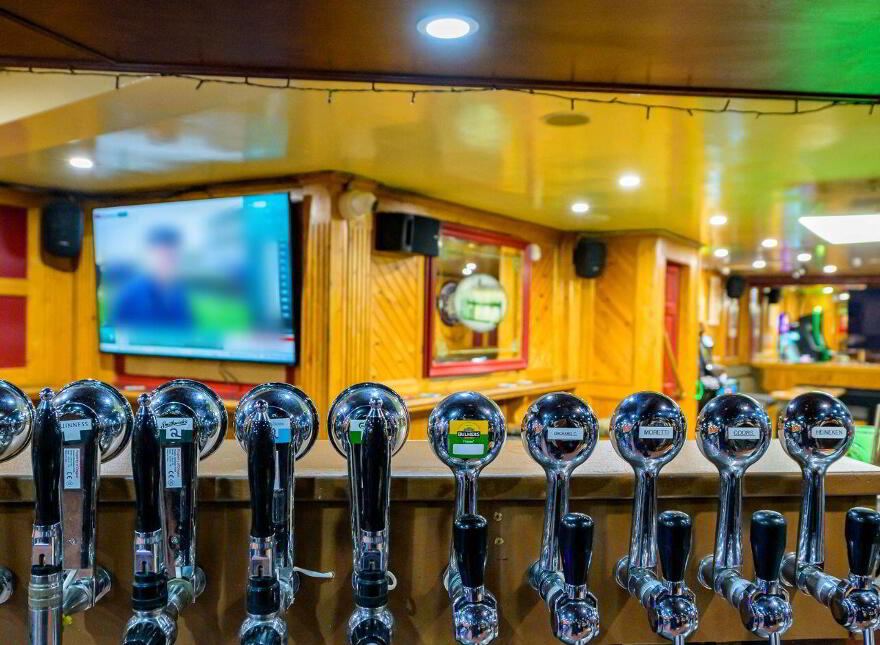 Landy's Irish Harp, Irish Street, Ardee, A92WN84