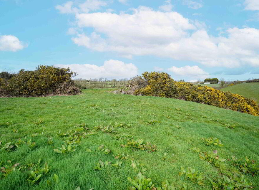 Ballaghnagearn, Drumbrone, Farney, Carrickmacross