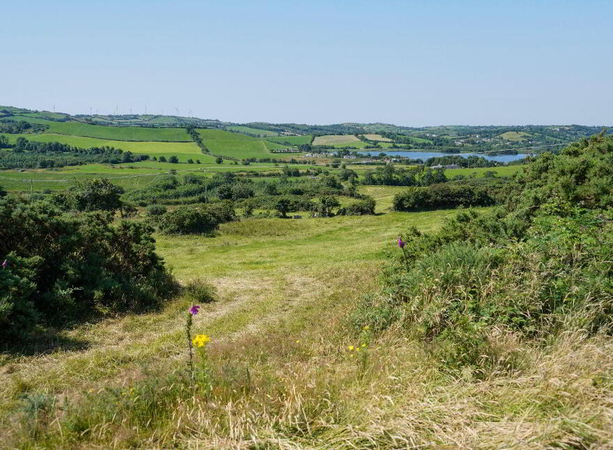 Lecks, Shercock