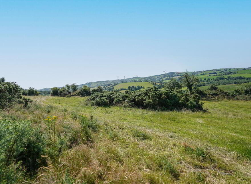 Lecks, Shercock