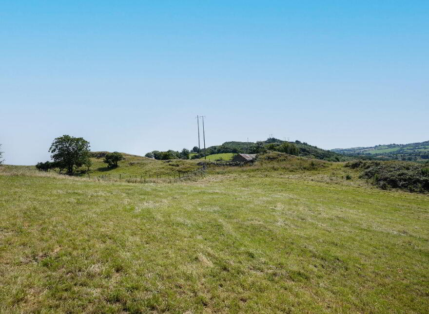 Lecks, Shercock