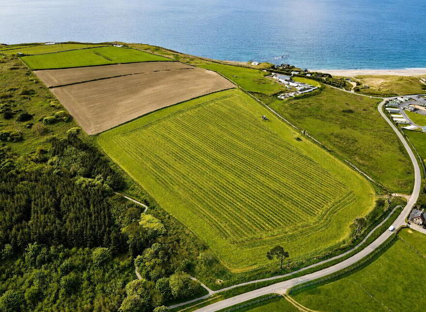 Castlefreke, Castlefreke