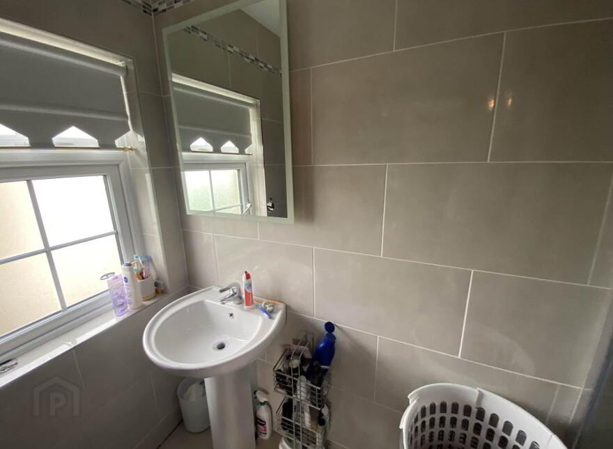 The Red Deere, & Adjoining Properties, Garranbeg, Pallasgreen, V94RY99