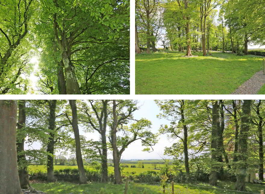 Carrygerry House, Newmarket On Fergus, Shannon, V95FE81
