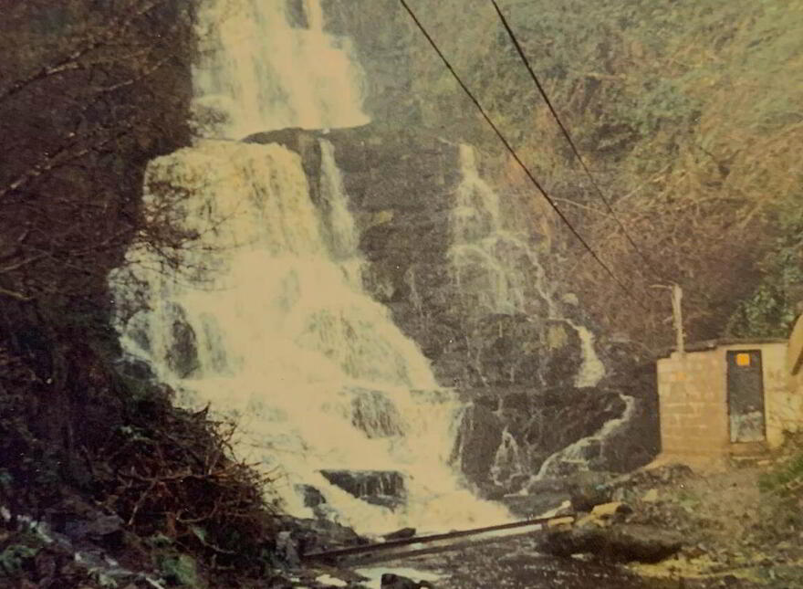 Glenastar, Newcastlewest, Carrigkerry