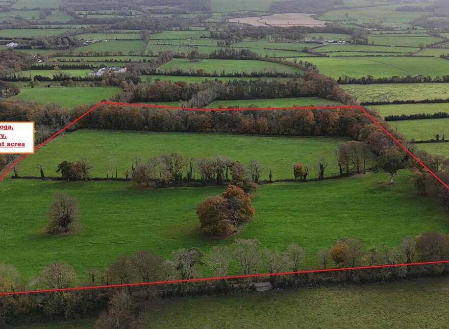 Ballynarooga, Ballingarry