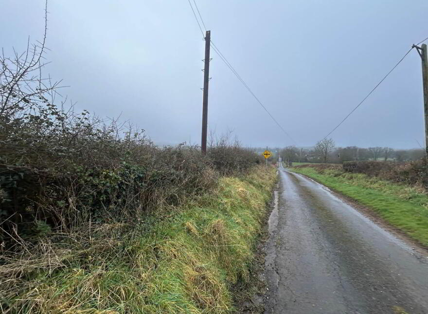 Cappnahana, Murroe