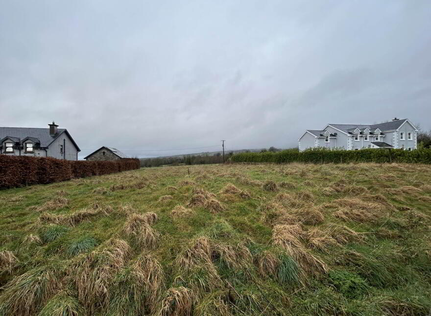 Bilboa, Cappamore photo