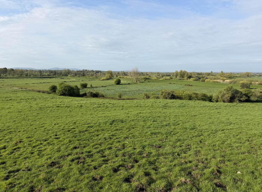 Clounanna, Patrickswell