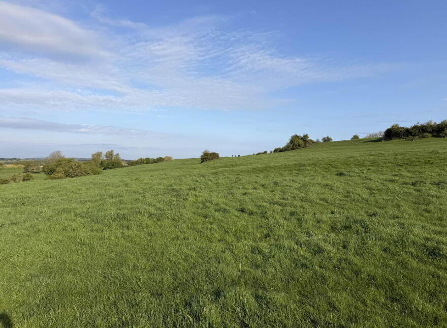 Clounanna, Patrickswell