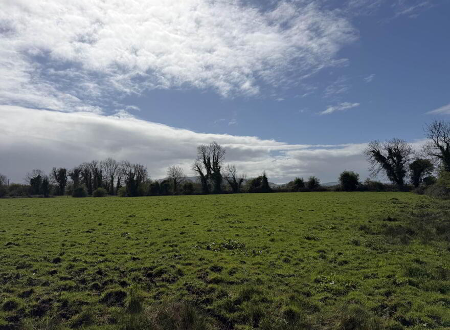 Elton, Knocklong