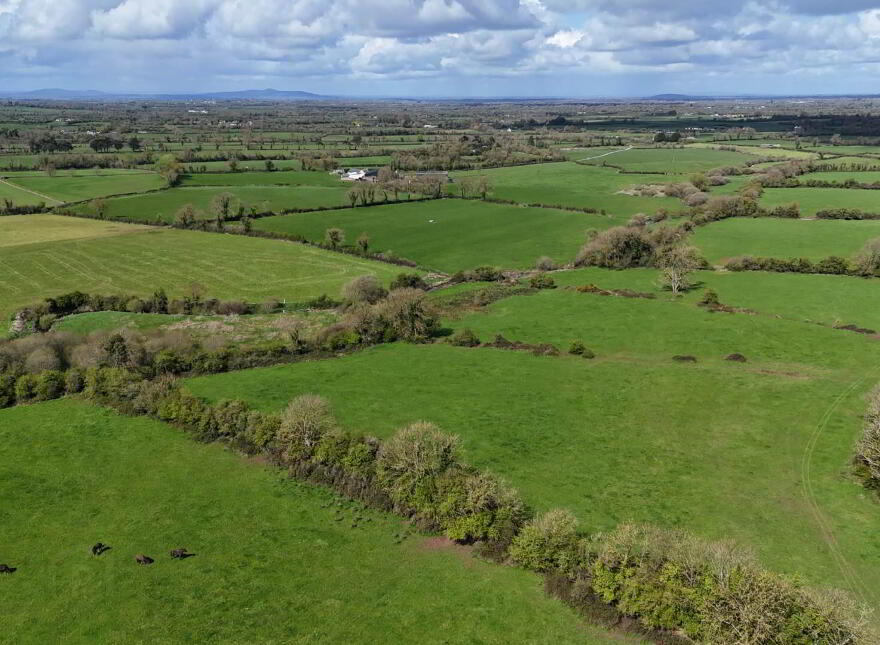 Elton, Knocklong