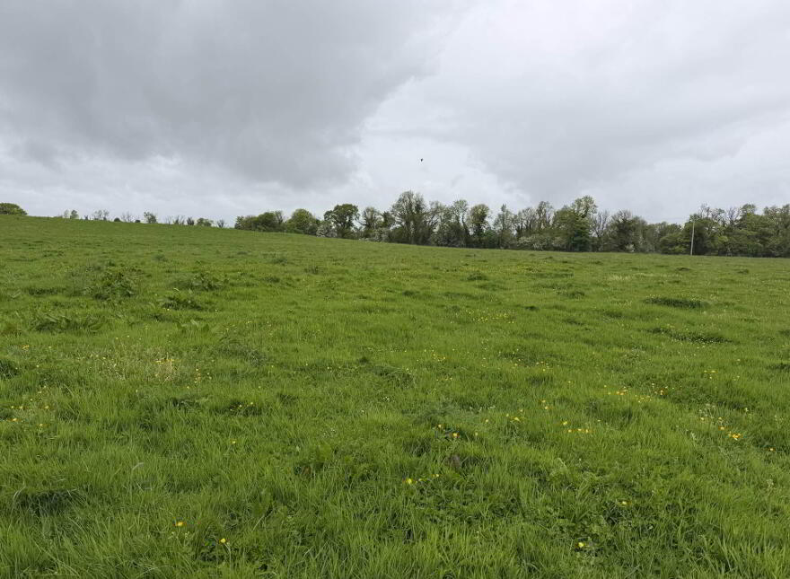 Elton, Knocklong