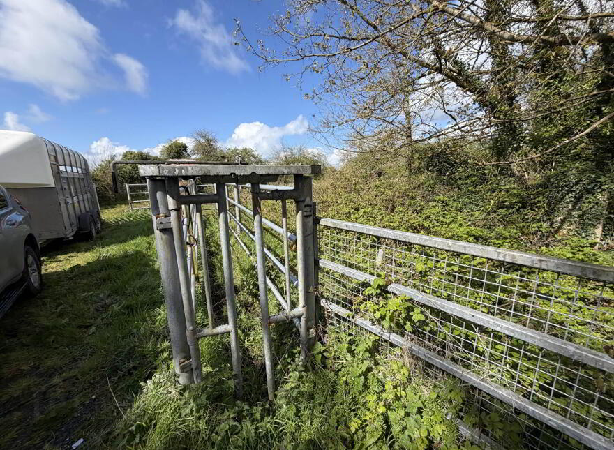 Elton, Knocklong