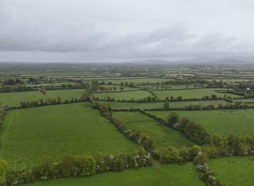 Elton, Knocklong