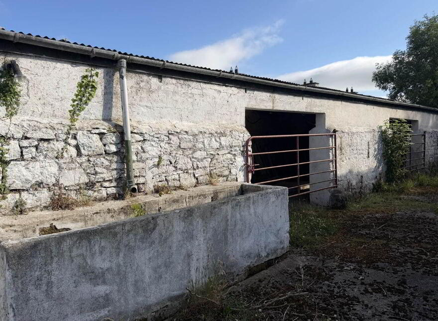 Ardmore House, Coolyhenan, Drombanna, Limerick, V94R681