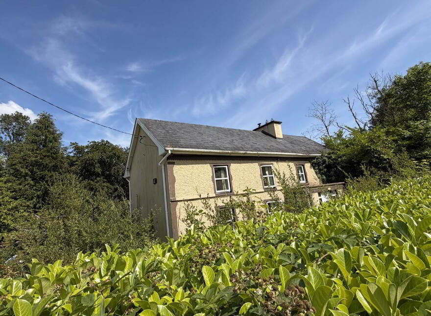 Thomastown, Kilfinane, V35DW32
