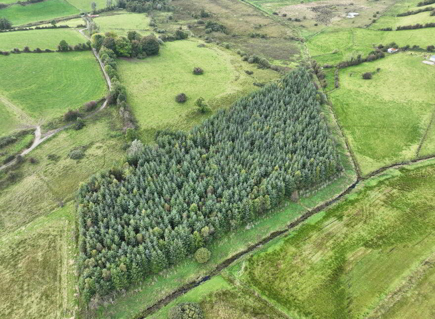 Bunnamuck, Keash, Ballymote