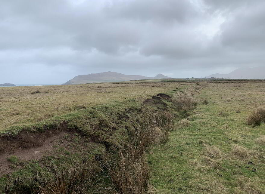 Ballydavid, Ballydavid