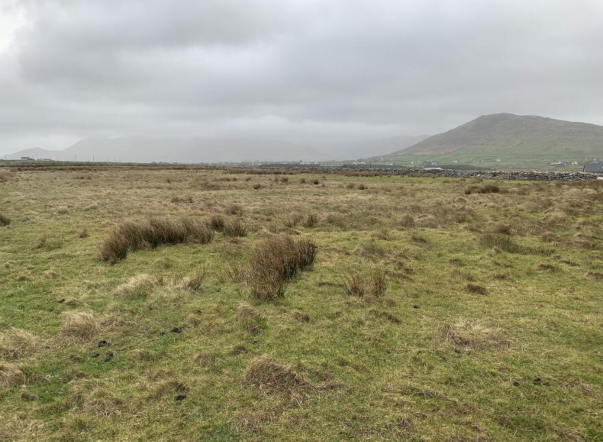 Ballydavid, Ballydavid