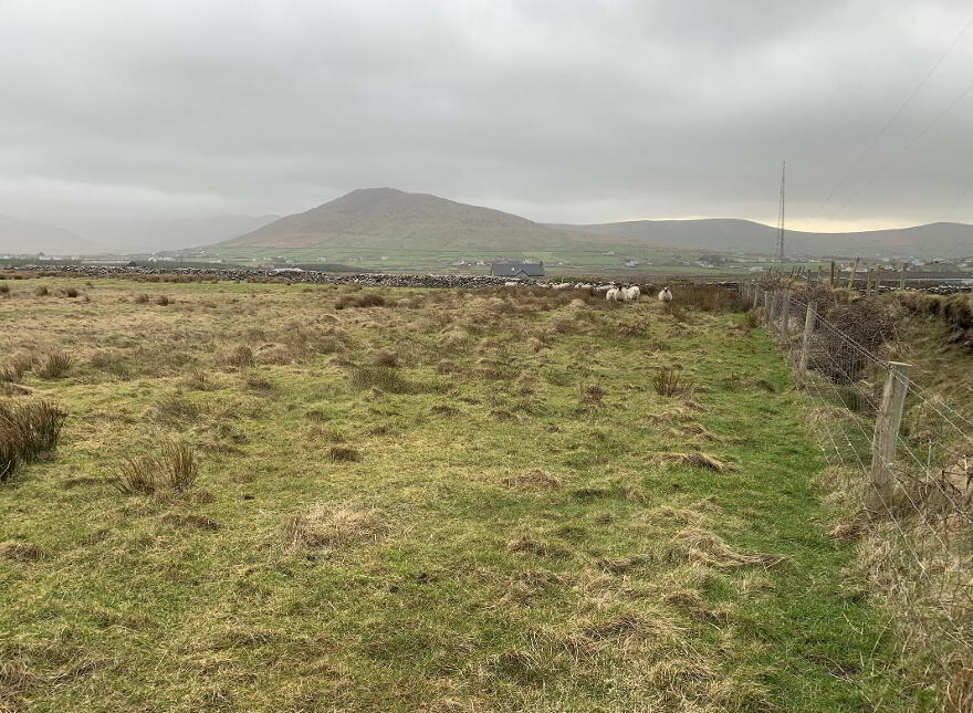 Ballydavid, Ballydavid