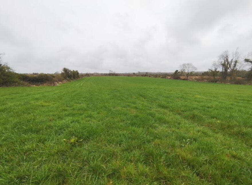 Ballynorth, Askeaton