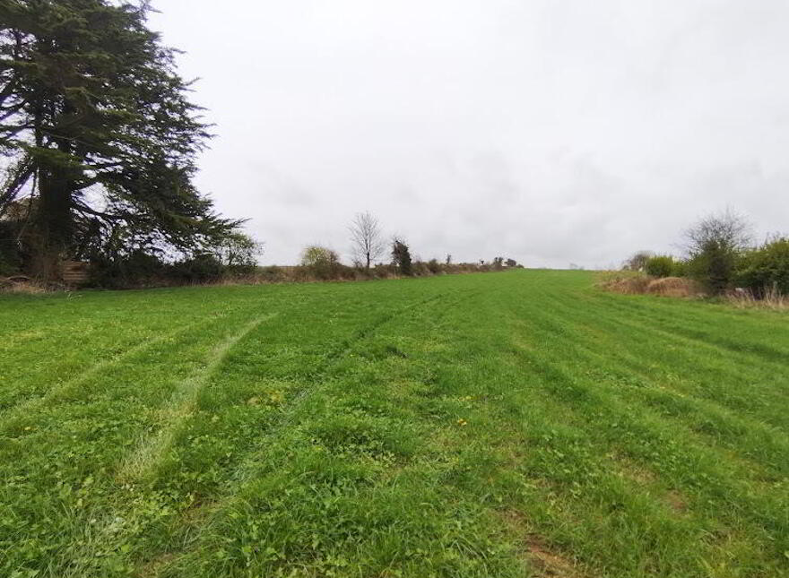 Ballynorth, Askeaton