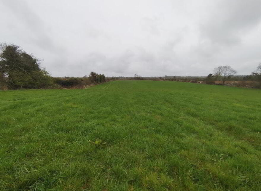 Ballynorth, Askeaton