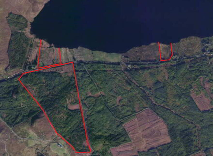 C 59ac Forestry & Agri Land, Doolough, Mullagh